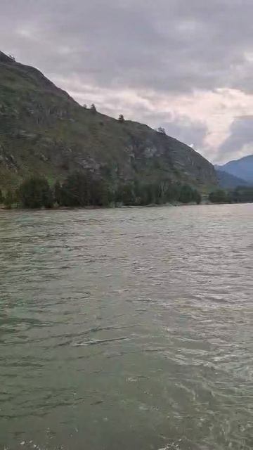 Утро на реке Катунь 🌅🏞️