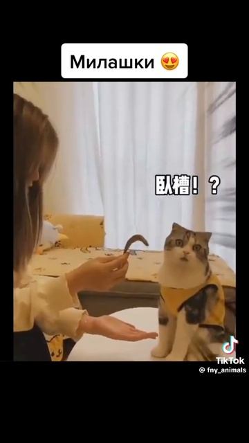 1000102232.mp4