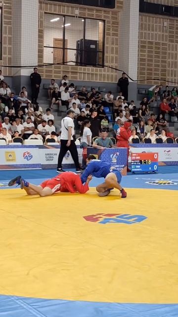 Beautiful SAMBO in Yerevan! ✨