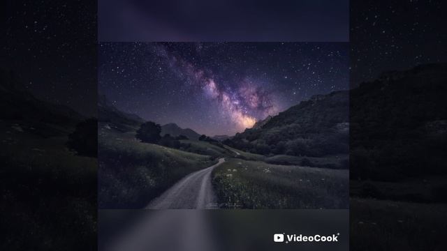 М. Ю. Лермонтов. Выхожу один я на дорогу.