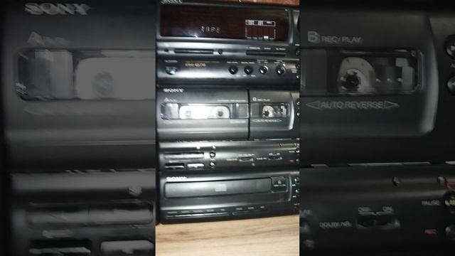 SONY