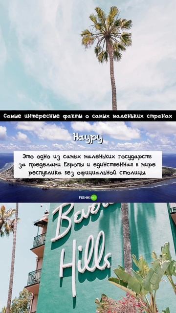 1000010684.mp4