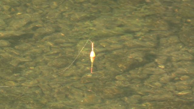 Видео 📹 рыбалка 🐟