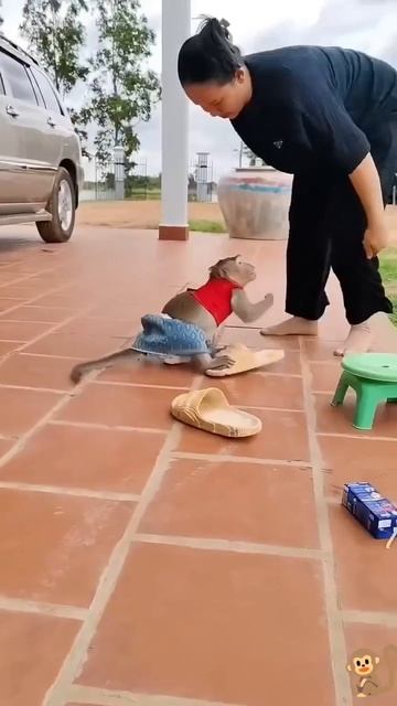 Обиделась🐒