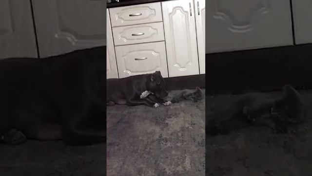 1000024902.mp4