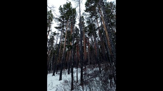 Клип.mp4
