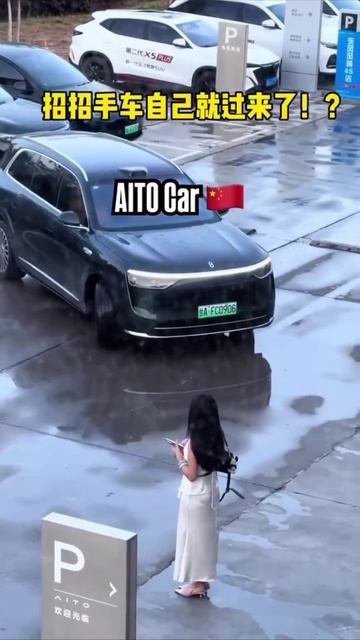 Просто помани её... Искусственный интеллект в автомобиле.