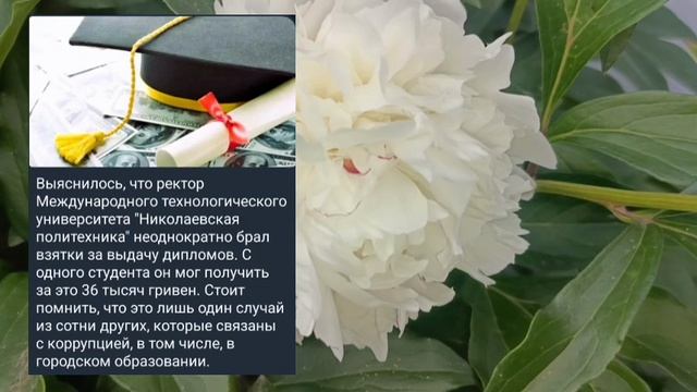 Николаев 7 июня 2025 года (новости)