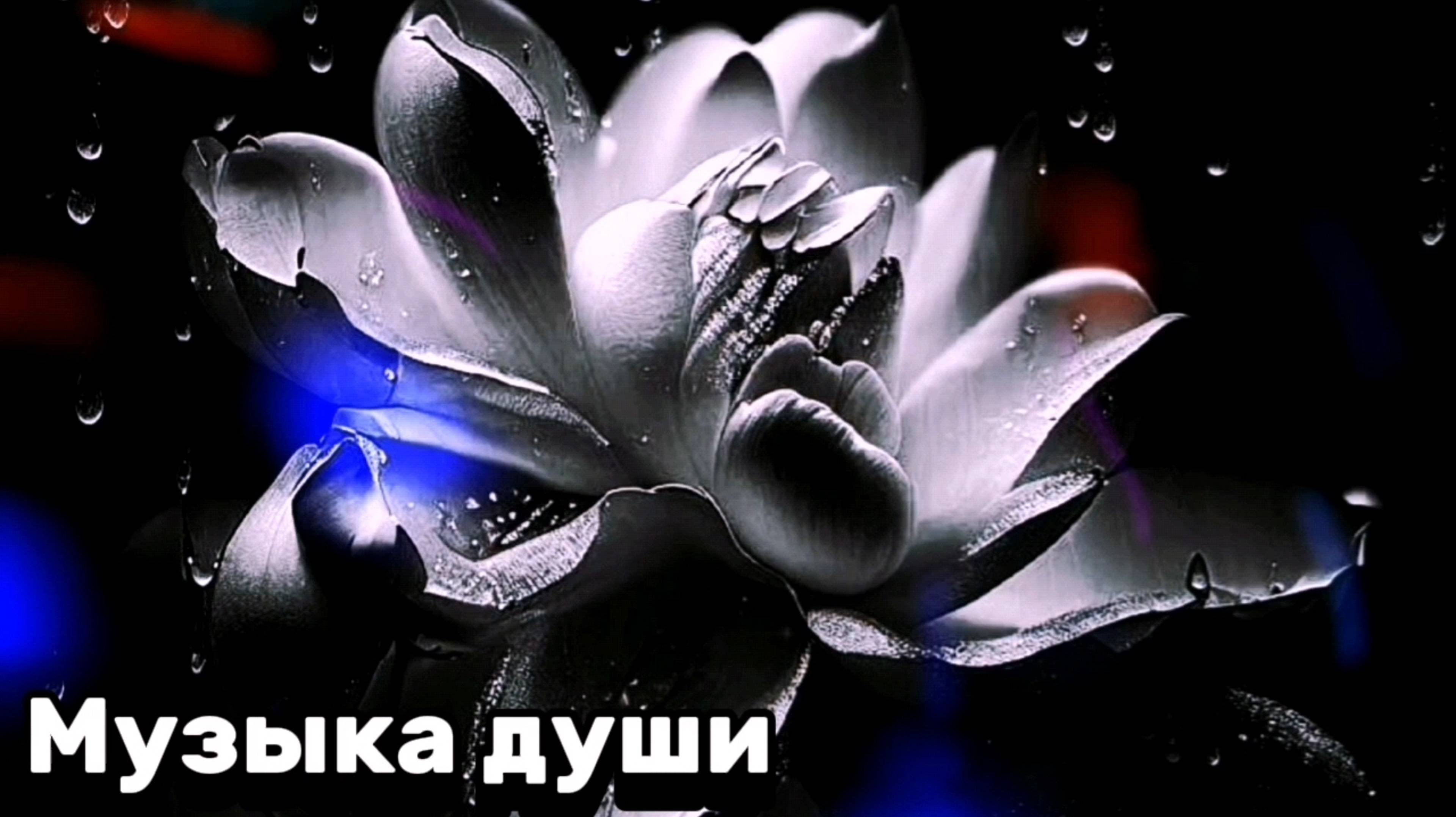 Музыка восстановления нервной системы. Мелодия релакса и гармонии 2025