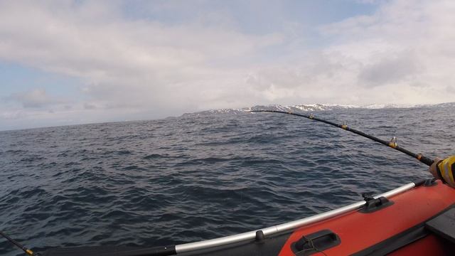 GOPR2866