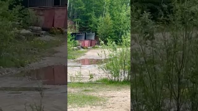 1000078196.mp4