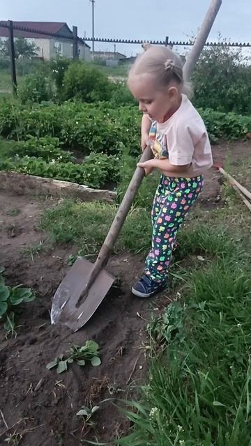 Эх деревня