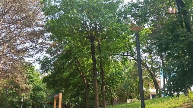 Комсомольский парк г.Кисловодск 07.06.25г