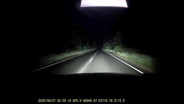 Лось перешел дорогу 07-06-2025