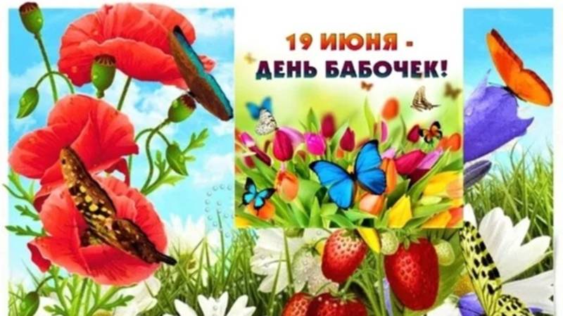 19 июня Всемирный день бабочек