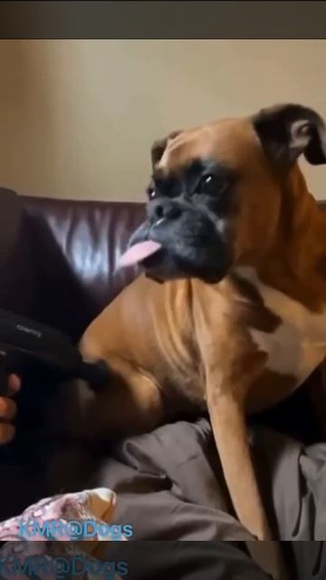 Массаж расслабил все мышцы😂