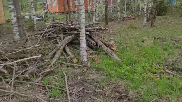 участок,июнь 2025.mp4