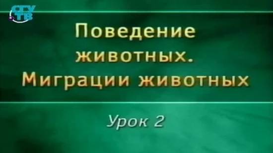 Миграции животных # 2. Миграции членистоногих