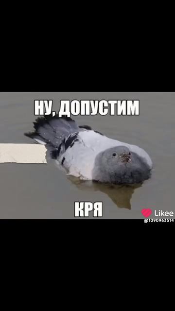 Нате что то
