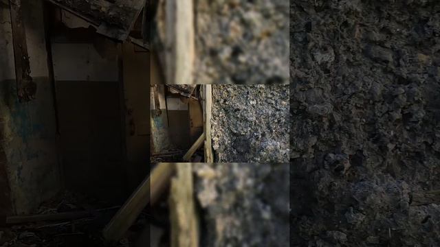 Поездки выходного дня. Усадьба Лапина, дворец Потемкина, Сгоревшая деревня