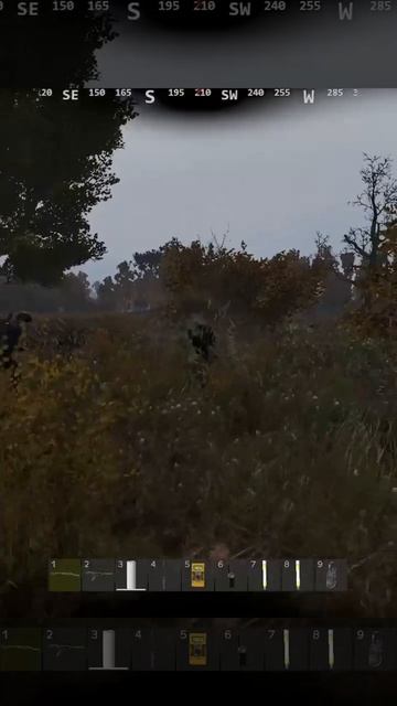 ВЕЗУЧИЙ ХАСКИ #video #сталкер #stalker #игры #dayz #shorts #funny #shots #mutant #бюрер #gaming