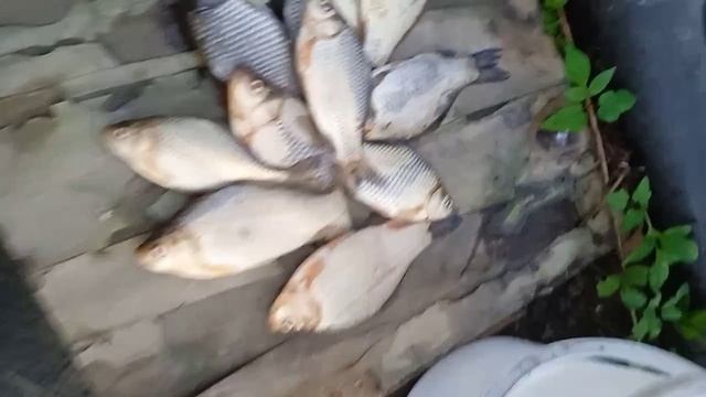 2025-04-23-184610673.mp4