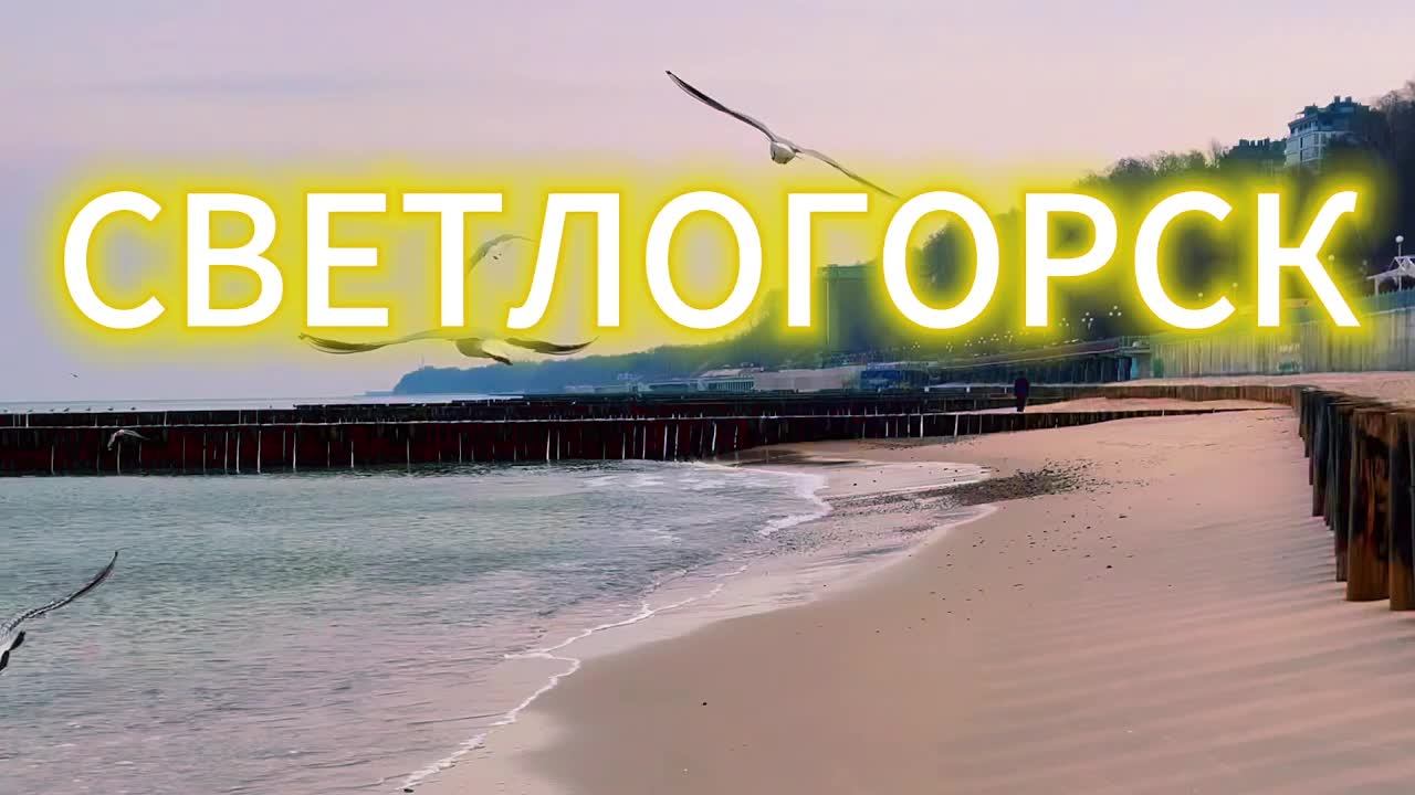 Светлогорск I Калининградская область