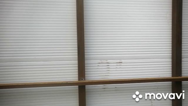 MovaviClips_Video_20250606-234606.mp4