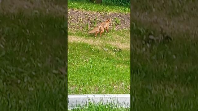 1000018997.mp4