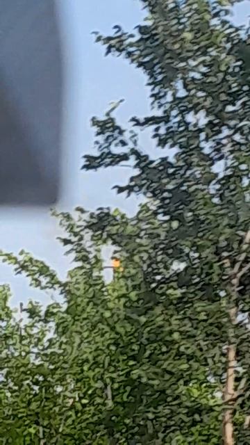 волгоград 3  часть