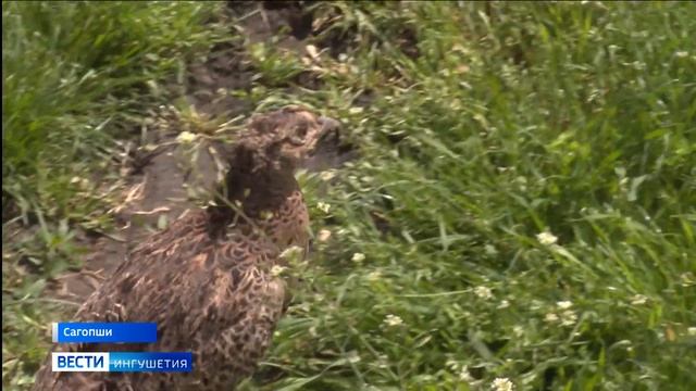 «80 добрых дел» акция, приуроченная к юбилею Великой По