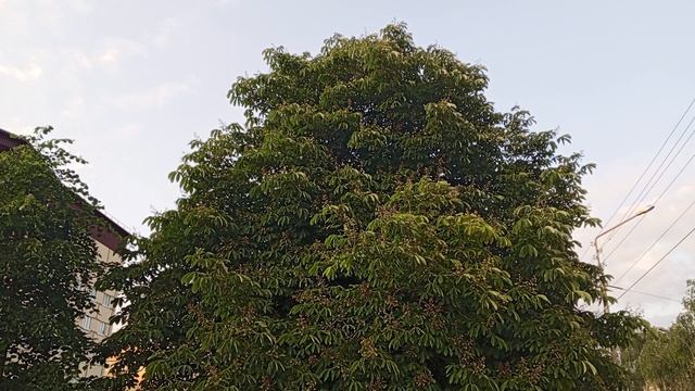 1000007770.mp4