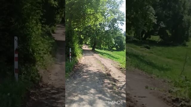 Зарисовка 7 июня 2025