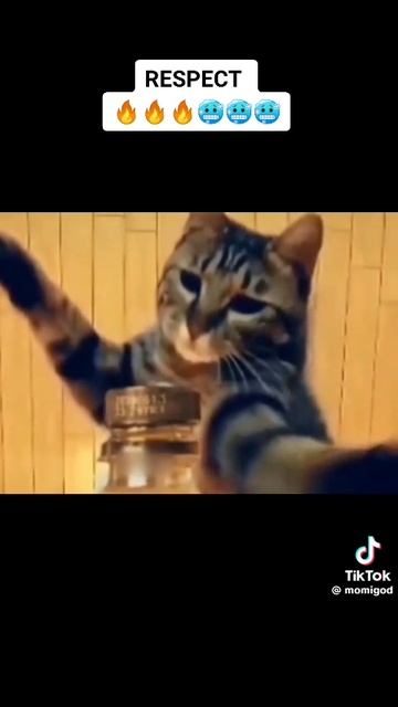 1000099450.mp4