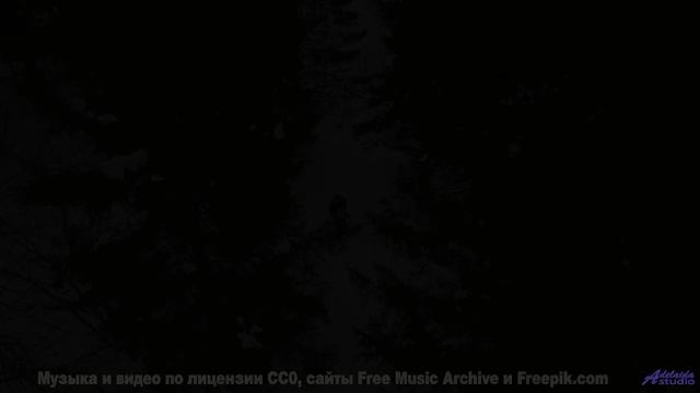 Лес, который ЗАПОМИНАЕТ каждого! - You. Me. Talk. Now. -- Forget the Whale -- You. Me. Talk. Now.