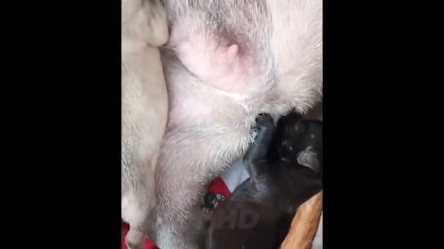 ЛУЧШЕЕ ЗА МЕСЯЦ #9 - Жизнь веселых людей 🤣🤣 ПОПРОБУЙ НЕ РАССМЕЯТЬСЯ 😂