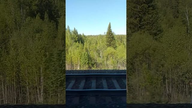 1000004191.mp4
