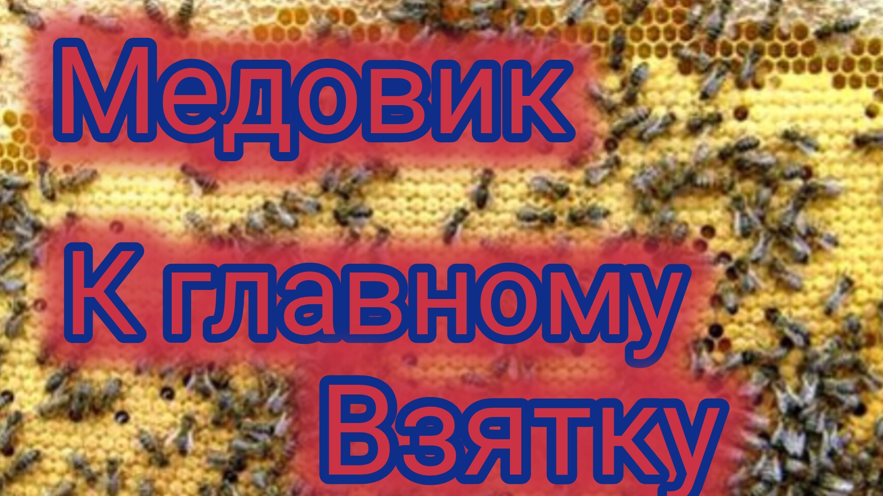 Медовик к главному взятку