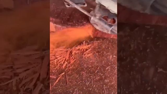 Не тонет и не гниет.