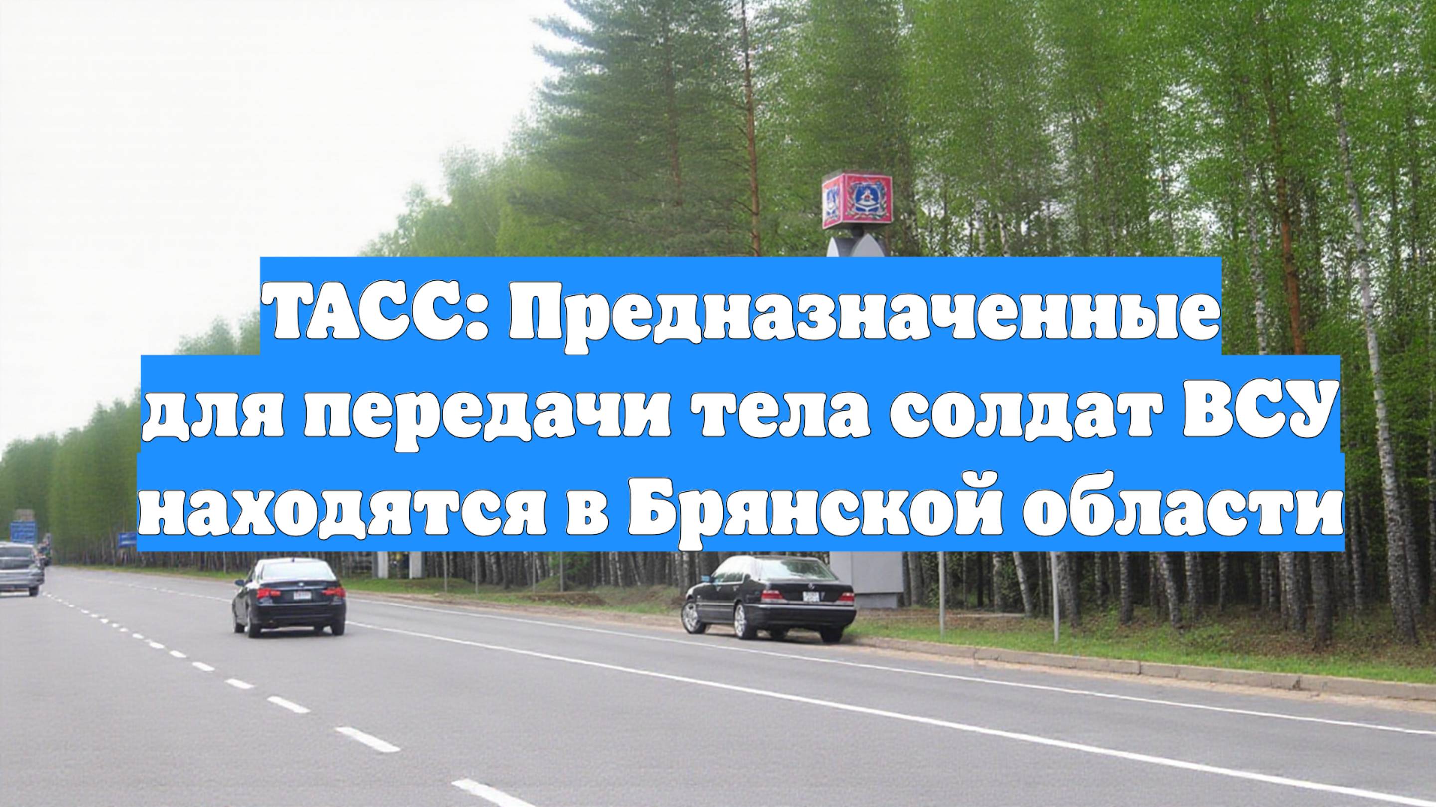ТАСС: Предназначенные для передачи тела солдат ВСУ находятся в Брянской области
