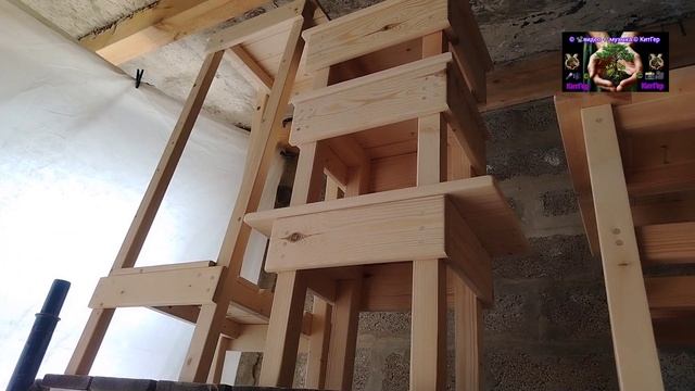 Вновь сделались