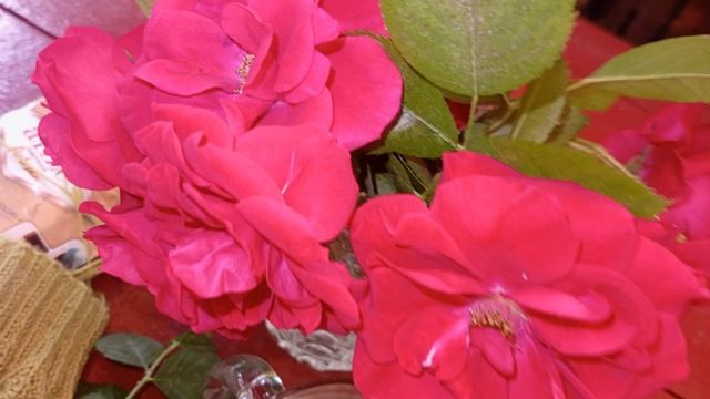 На обеденном перерыве 🧶🌹🌹🌹