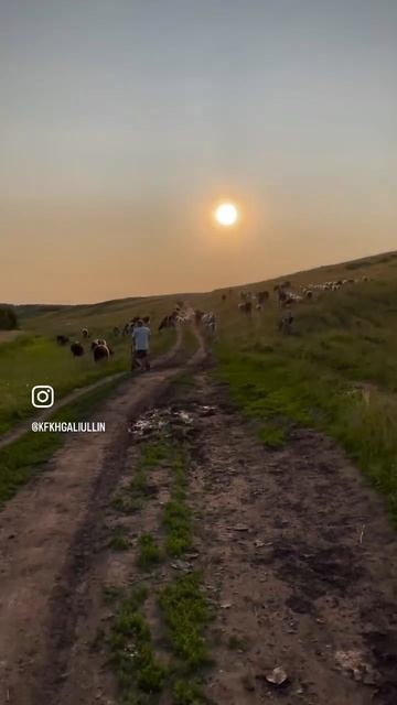 Деревенское детство