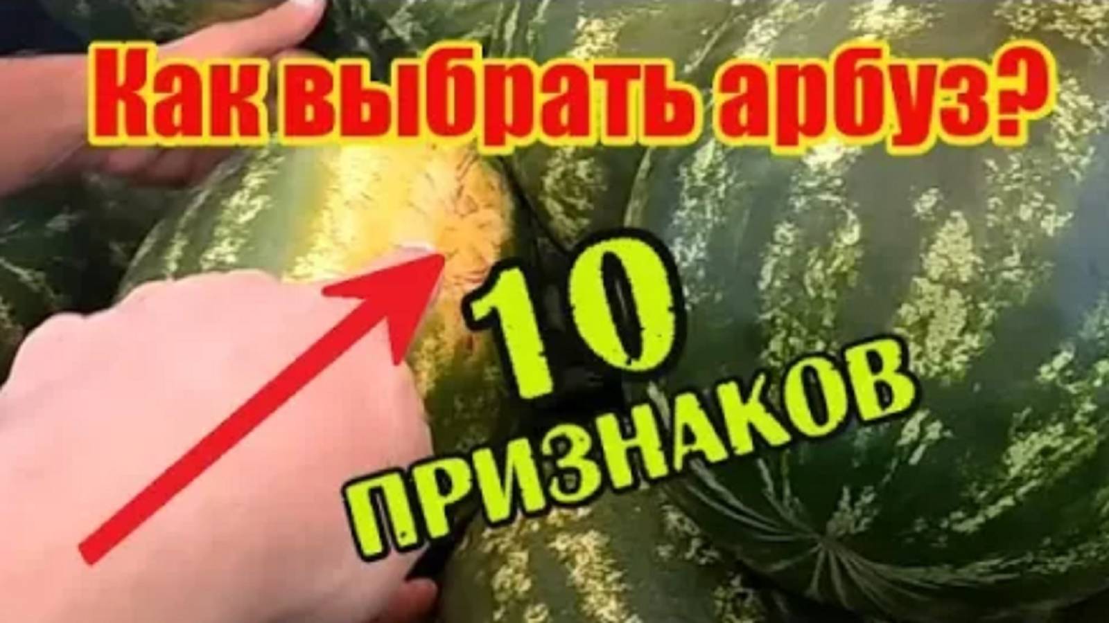 10 признаков сладкого арбуза