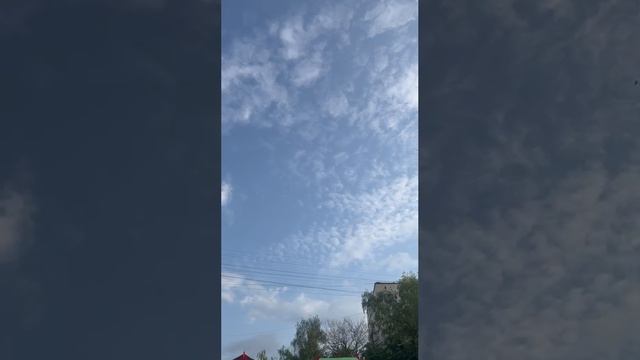 Мои мысли после 8-го дня бега по утрам.
