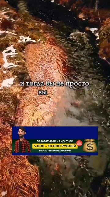 Чтобы жить как хочешь, надо