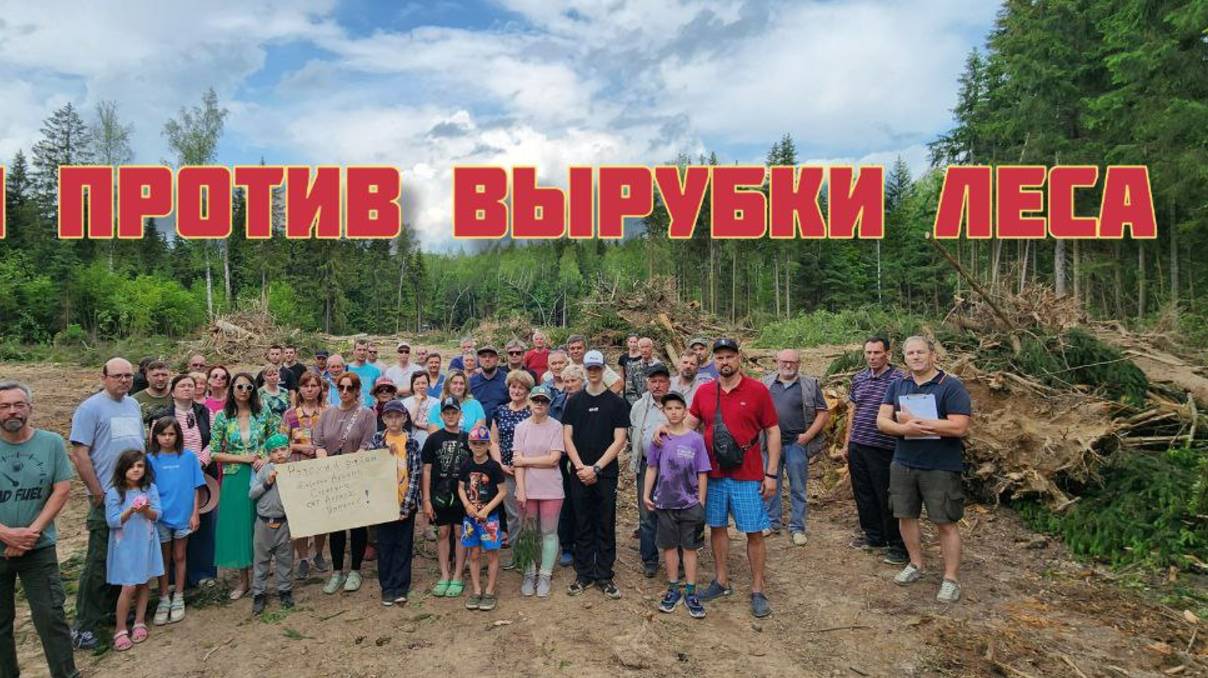 07.06.25 повторное обращение жителей против вырубки леса