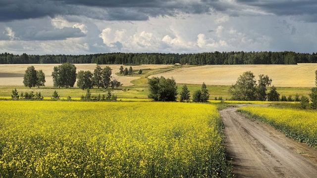 Аудиокнига Вера Панова _Серёжа_ Повесть часть 1 Читает Марина Багинская