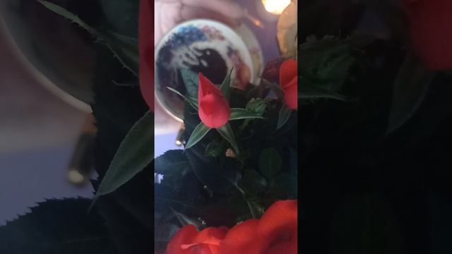 ✨🕯️Что у бывшего сейчас в личной жизни❓ГАДАНИЕ на кофе.☕💯🔮