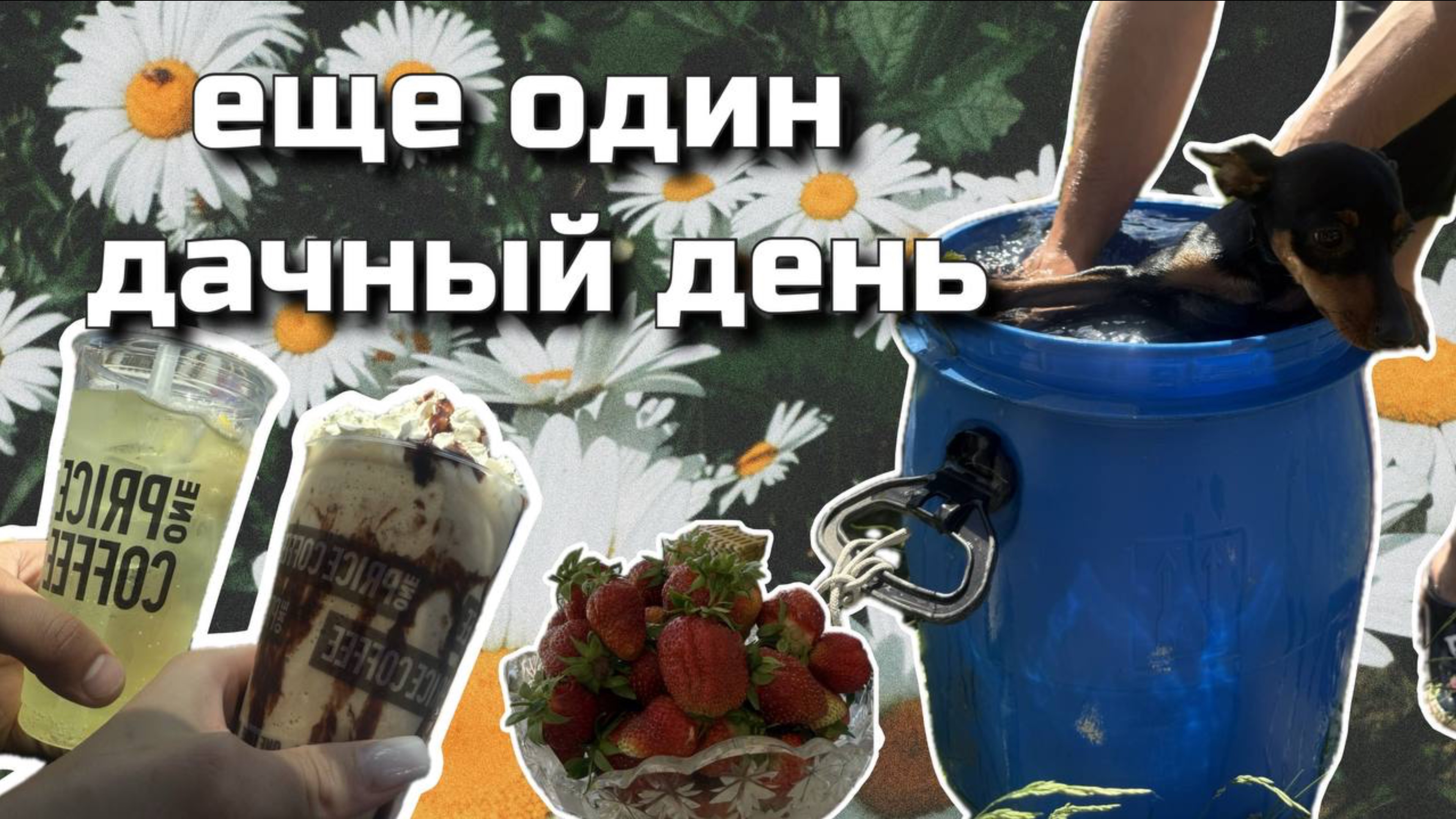 Поездка на дачу